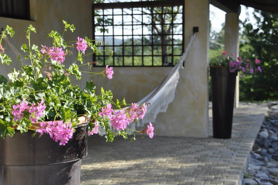 Premiata Osteria Dei Fiori Bed and Breakfast Cortiglione Habitación foto
